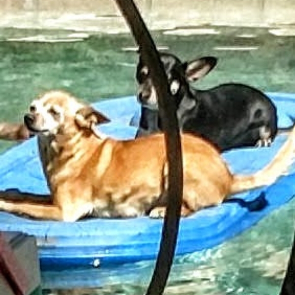 Meet your Posher, Marcy - Picture 14 of 16